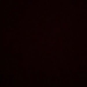 Meet your Posher, Cora